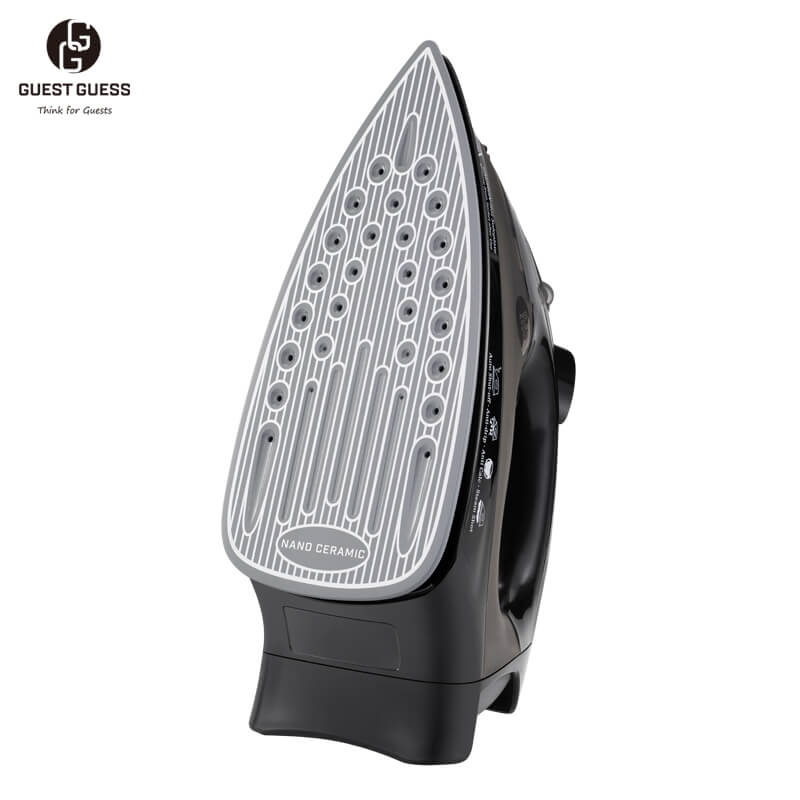 Steam Iron DOCILE 02