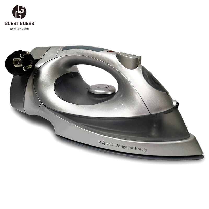 Steam Iron IRREFUTABLE 02