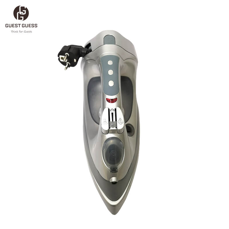 Steam Iron IRREFUTABLE 03