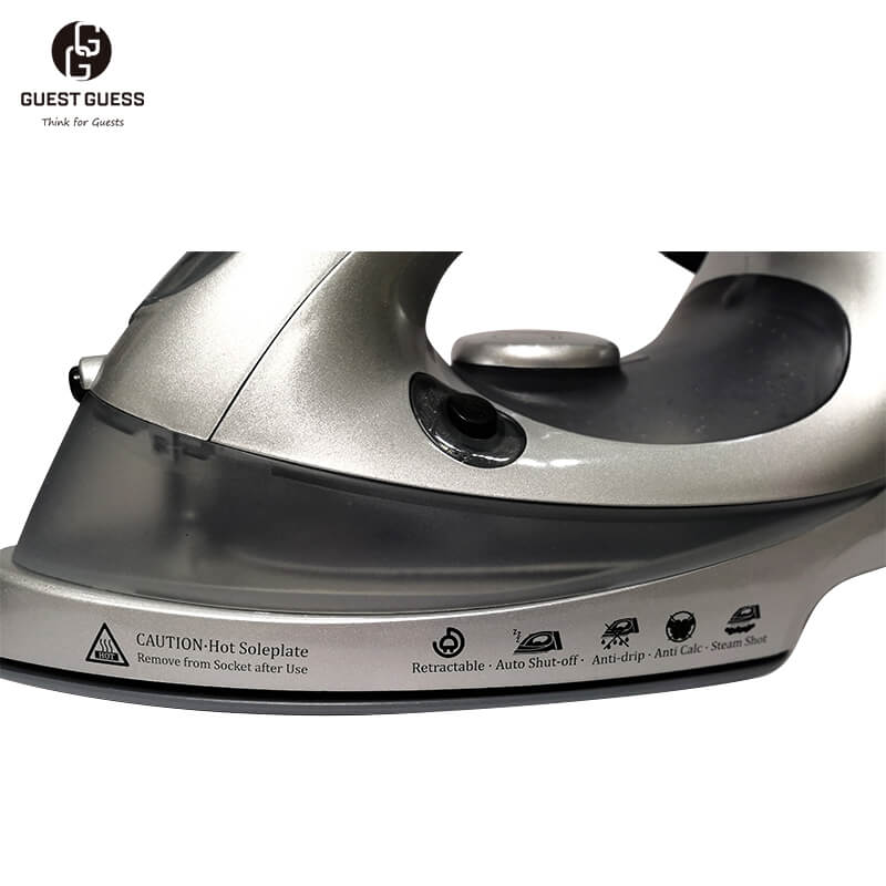 Steam Iron IRREFUTABLE 04