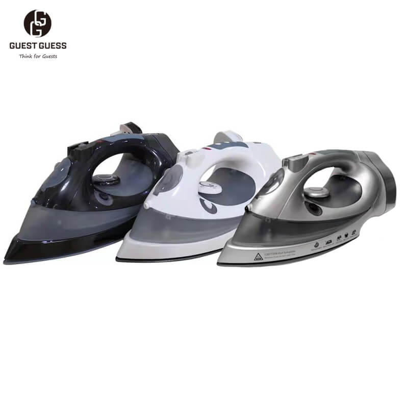 Steam Iron IRREFUTABLE 07